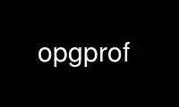 Run opgprof in OnWorks free hosting provider over Ubuntu Online, Fedora Online, Windows online emulator or MAC OS online emulator