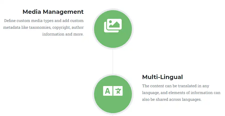 Download web tool or web app Orchard Core