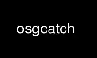 Run osgcatch in OnWorks free hosting provider over Ubuntu Online, Fedora Online, Windows online emulator or MAC OS online emulator