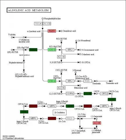 Download web tool or web app PAICE: Rapid pathway visualization to run in Linux online