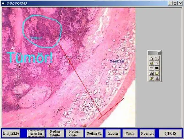 Download web tool or web app PATHOS-WEB Pathology Information System to run in Windows online over Linux online