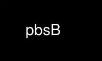 Run pbsB in OnWorks free hosting provider over Ubuntu Online, Fedora Online, Windows online emulator or MAC OS online emulator