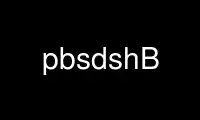 Run pbsdshB in OnWorks free hosting provider over Ubuntu Online, Fedora Online, Windows online emulator or MAC OS online emulator