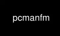 Run pcmanfm in OnWorks free hosting provider over Ubuntu Online, Fedora Online, Windows online emulator or MAC OS online emulator