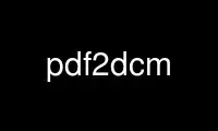 Run pdf2dcm in OnWorks free hosting provider over Ubuntu Online, Fedora Online, Windows online emulator or MAC OS online emulator