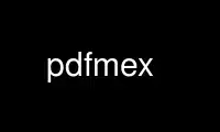 Run pdfmex in OnWorks free hosting provider over Ubuntu Online, Fedora Online, Windows online emulator or MAC OS online emulator