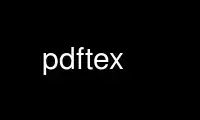 Voer pdftex uit in de gratis hostingprovider van OnWorks via Ubuntu Online, Fedora Online, Windows online emulator of MAC OS online emulator