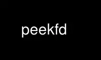 Run peekfd in OnWorks free hosting provider over Ubuntu Online, Fedora Online, Windows online emulator or MAC OS online emulator