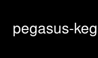 Run pegasus-keg in OnWorks free hosting provider over Ubuntu Online, Fedora Online, Windows online emulator or MAC OS online emulator