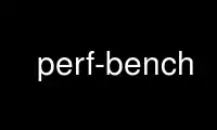 Run perf-bench in OnWorks free hosting provider over Ubuntu Online, Fedora Online, Windows online emulator or MAC OS online emulator