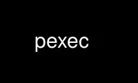 Run pexec in OnWorks free hosting provider over Ubuntu Online, Fedora Online, Windows online emulator or MAC OS online emulator