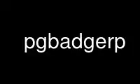 Run pgbadgerp in OnWorks free hosting provider over Ubuntu Online, Fedora Online, Windows online emulator or MAC OS online emulator