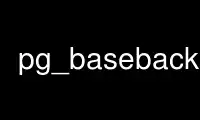 Run pg_basebackup in OnWorks free hosting provider over Ubuntu Online, Fedora Online, Windows online emulator or MAC OS online emulator