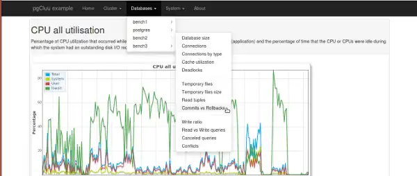 Download web tool or web app pgCluu