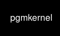 Запустите pgmkernel в провайдере бесплатного хостинга OnWorks через Ubuntu Online, Fedora Online, онлайн-эмулятор Windows или онлайн-эмулятор MAC OS