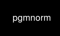 Run pgmnorm in OnWorks free hosting provider over Ubuntu Online, Fedora Online, Windows online emulator or MAC OS online emulator