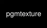 قم بتشغيل pgmtexture في موفر الاستضافة المجاني OnWorks عبر Ubuntu Online أو Fedora Online أو محاكي Windows عبر الإنترنت أو محاكي MAC OS عبر الإنترنت