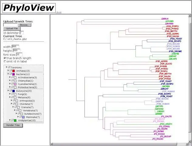 Download web tool or web app PhyloView to run in Windows online over Linux online