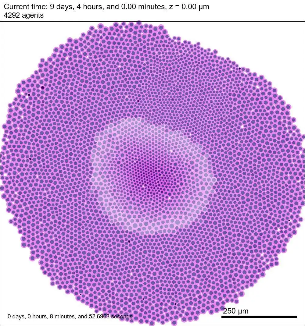 Download web tool or web app PhysiCell