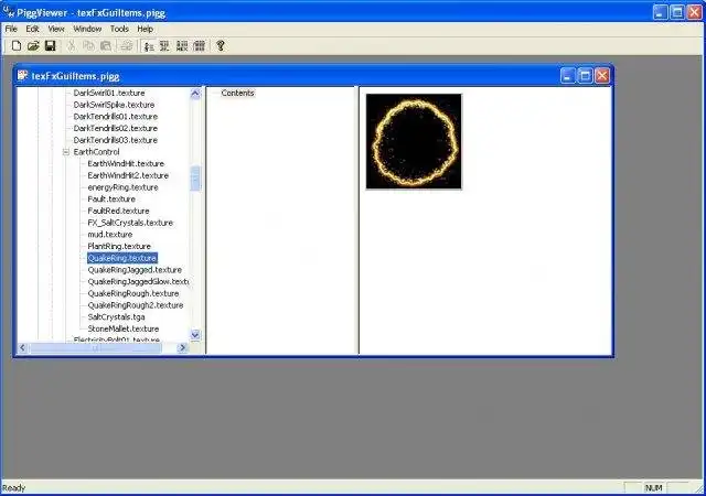 Download web tool or web app PiggViewer