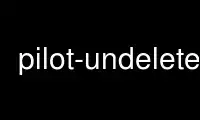 Run pilot-undelete in OnWorks free hosting provider over Ubuntu Online, Fedora Online, Windows online emulator or MAC OS online emulator