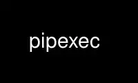 Run pipexec in OnWorks free hosting provider over Ubuntu Online, Fedora Online, Windows online emulator or MAC OS online emulator