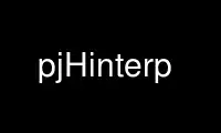 Run pjHinterp in OnWorks free hosting provider over Ubuntu Online, Fedora Online, Windows online emulator or MAC OS online emulator