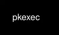 Uruchom pkexec w darmowym dostawcy hostingu OnWorks przez Ubuntu Online, Fedora Online, emulator online Windows lub emulator online MAC OS