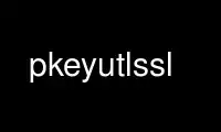 Run pkeyutlssl in OnWorks free hosting provider over Ubuntu Online, Fedora Online, Windows online emulator or MAC OS online emulator