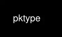 Run pktype in OnWorks free hosting provider over Ubuntu Online, Fedora Online, Windows online emulator or MAC OS online emulator