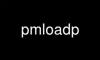 Run pmloadp in OnWorks free hosting provider over Ubuntu Online, Fedora Online, Windows online emulator or MAC OS online emulator