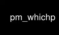 Run pm_whichp in OnWorks free hosting provider over Ubuntu Online, Fedora Online, Windows online emulator or MAC OS online emulator