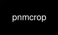 Run pnmcrop in OnWorks free hosting provider over Ubuntu Online, Fedora Online, Windows online emulator or MAC OS online emulator