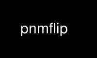 Run pnmflip in OnWorks free hosting provider over Ubuntu Online, Fedora Online, Windows online emulator or MAC OS online emulator