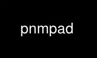 Run pnmpad in OnWorks free hosting provider over Ubuntu Online, Fedora Online, Windows online emulator or MAC OS online emulator