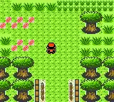 Download web tool or web app POKEMON GOLD - Beta Restoration Project