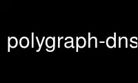 Run polygraph-dns-cfg in OnWorks free hosting provider over Ubuntu Online, Fedora Online, Windows online emulator or MAC OS online emulator