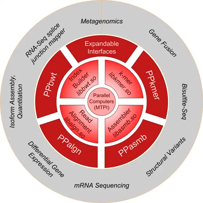 Download web tool or web app PPSeq: Parallel NGS Analysis