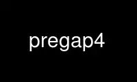 Run pregap4 in OnWorks free hosting provider over Ubuntu Online, Fedora Online, Windows online emulator or MAC OS online emulator