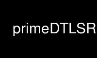 ເປີດໃຊ້ primeDTLSR ໃນ OnWorks ຜູ້ໃຫ້ບໍລິການໂຮດຕິ້ງຟຣີຜ່ານ Ubuntu Online, Fedora Online, Windows online emulator ຫຼື MAC OS online emulator