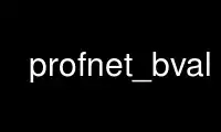 Run profnet_bval in OnWorks free hosting provider over Ubuntu Online, Fedora Online, Windows online emulator or MAC OS online emulator