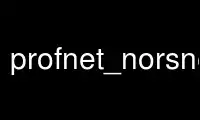 Run profnet_norsnet in OnWorks free hosting provider over Ubuntu Online, Fedora Online, Windows online emulator or MAC OS online emulator