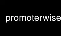 Run promoterwise in OnWorks free hosting provider over Ubuntu Online, Fedora Online, Windows online emulator or MAC OS online emulator