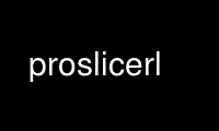 Run proslicerl in OnWorks free hosting provider over Ubuntu Online, Fedora Online, Windows online emulator or MAC OS online emulator