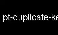 Run pt-duplicate-key-checkerp in OnWorks free hosting provider over Ubuntu Online, Fedora Online, Windows online emulator or MAC OS online emulator