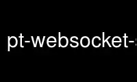 Run pt-websocket-server in OnWorks free hosting provider over Ubuntu Online, Fedora Online, Windows online emulator or MAC OS online emulator