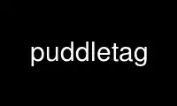 Run puddletag in OnWorks free hosting provider over Ubuntu Online, Fedora Online, Windows online emulator or MAC OS online emulator