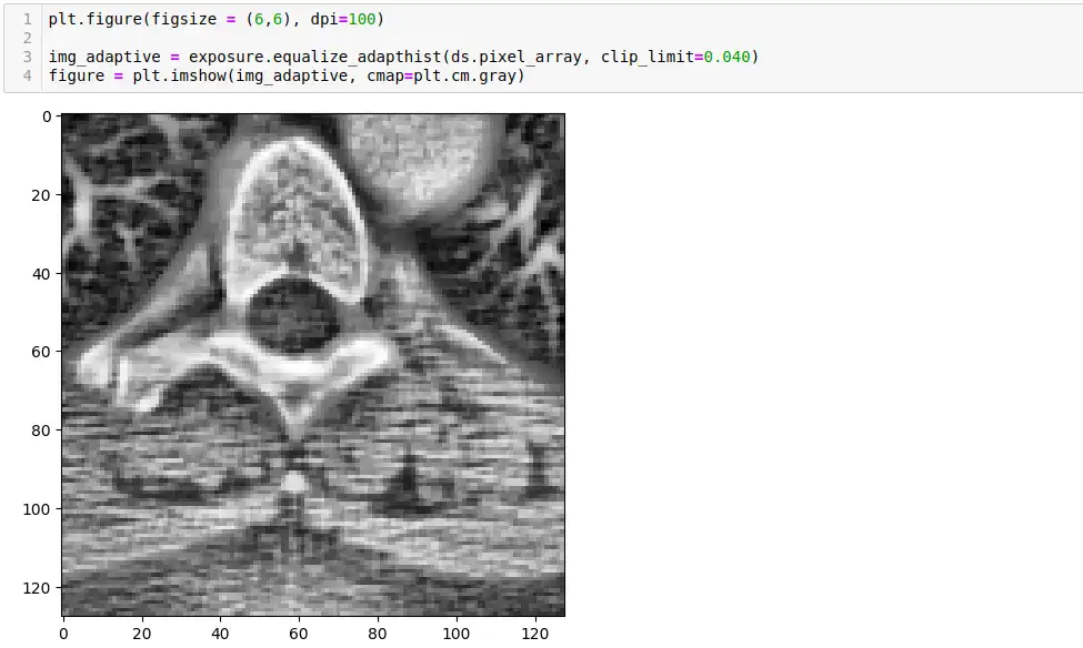 Download web tool or web app Pydicom by examples to run in Windows online over Linux online