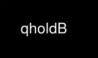 Run qholdB in OnWorks free hosting provider over Ubuntu Online, Fedora Online, Windows online emulator or MAC OS online emulator