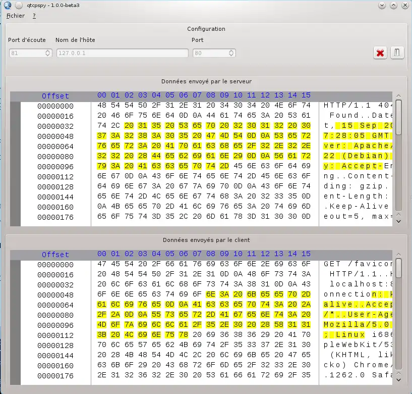 Download web tool or web app qtcpspy